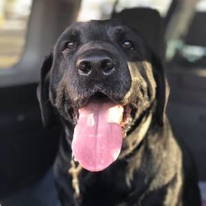 Meet your Posher, Hannahlore